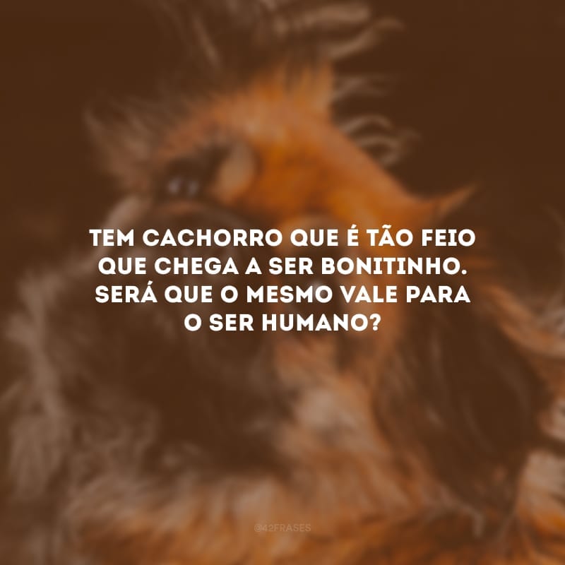 Tem cachorro que é tão feio que chega a ser bonitinho. Será que o mesmo vale para o ser humano?