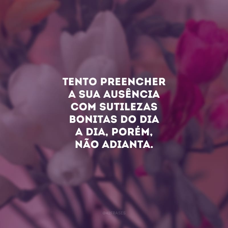 Tento preencher a sua ausência com sutilezas bonitas do dia a dia, porém, não adianta. No meu coração, há uma enorme falta. Meu luto é eterno.