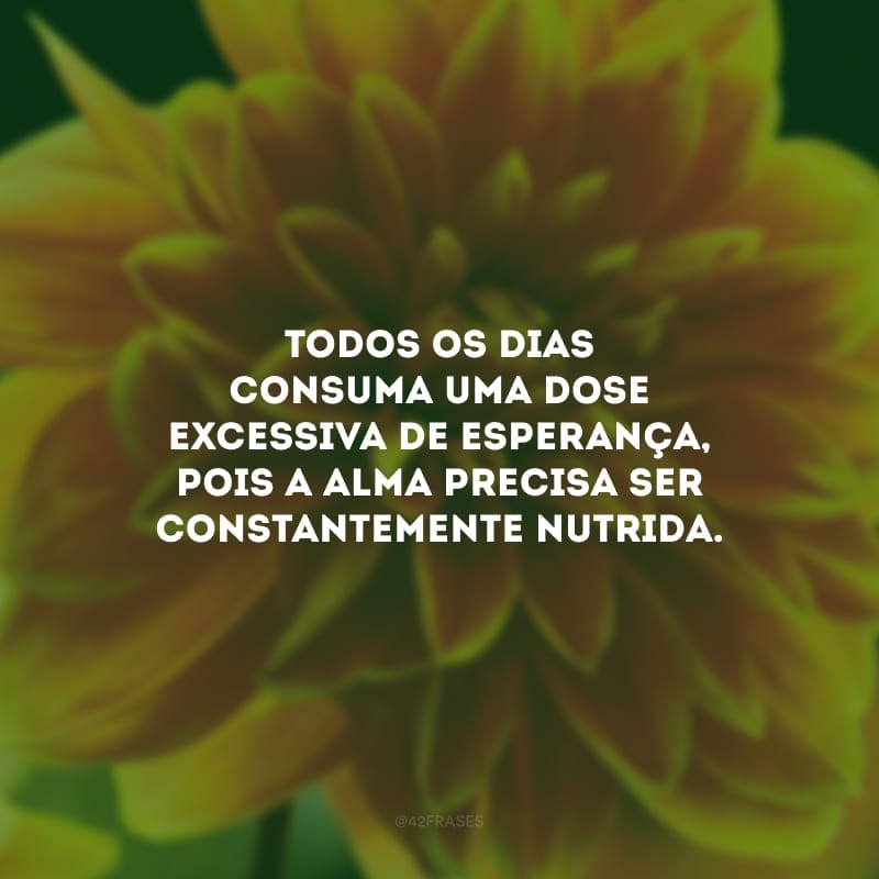 Todos os dias consuma uma dose excessiva de esperança, pois a alma precisa ser constantemente nutrida.