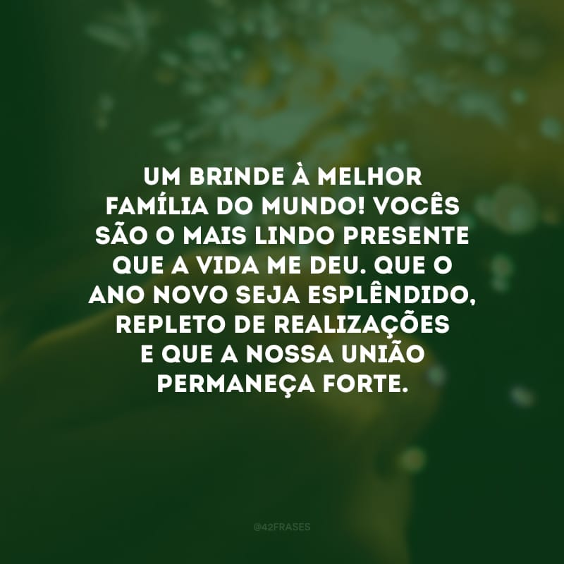 Um brinde à melhor família do mundo! Vocês são o mais lindo presente que a vida me deu. Que o Ano Novo seja esplêndido, repleto de realizações e que a nossa união permaneça forte.