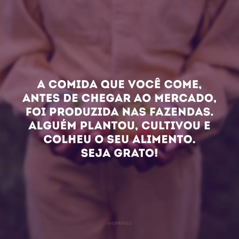 A comida que você come, antes de chegar ao mercado, foi produzida nas fazendas. Alguém plantou, cultivou e colheu o seu alimento. Seja grato!