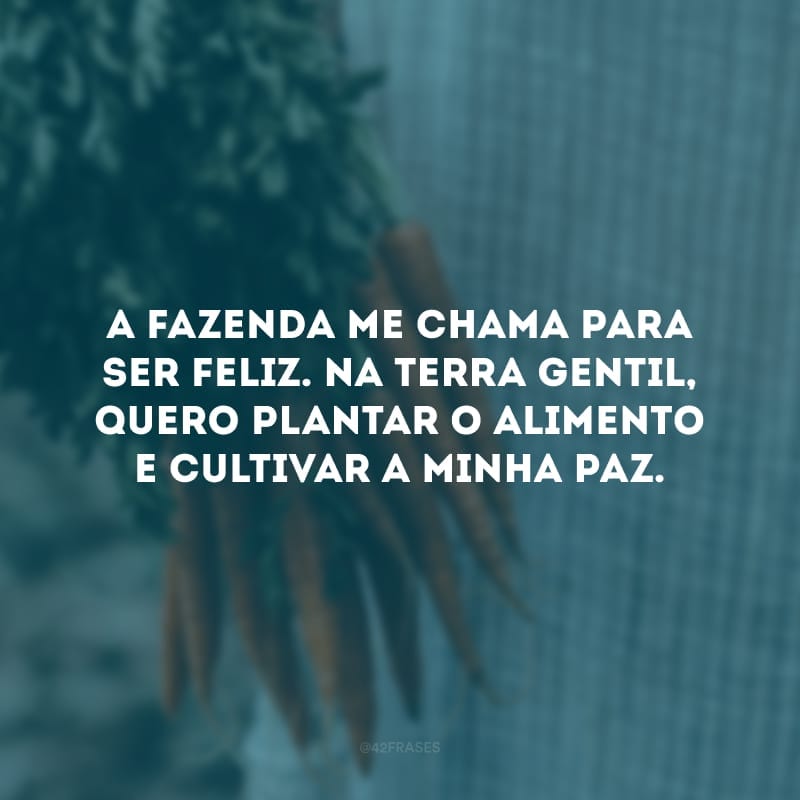 A fazenda me chama para ser feliz. Na terra gentil, quero plantar o alimento e cultivar a minha paz.