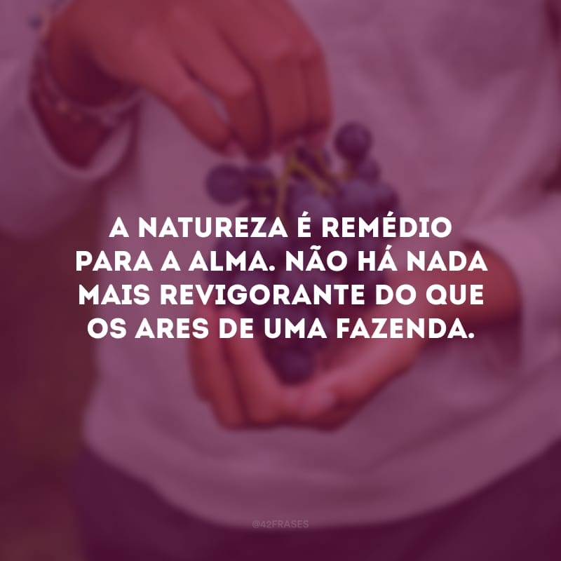 A natureza é remédio para a alma. Não há nada mais revigorante do que os ares de uma fazenda.