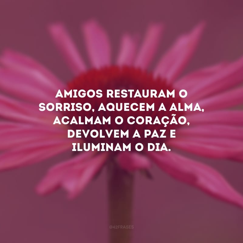 Amigos restauram o sorriso, aquecem a alma, acalmam o coração, devolvem a paz e iluminam o dia. 