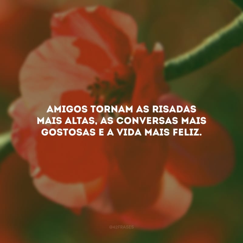 Amigos tornam as risadas mais altas, as conversas mais gostosas e a vida mais feliz. 