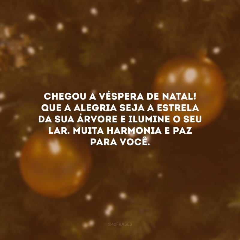 Chegou a véspera de Natal! Que a alegria seja a estrela da sua árvore e ilumine o seu lar. Muita harmonia e paz para você.