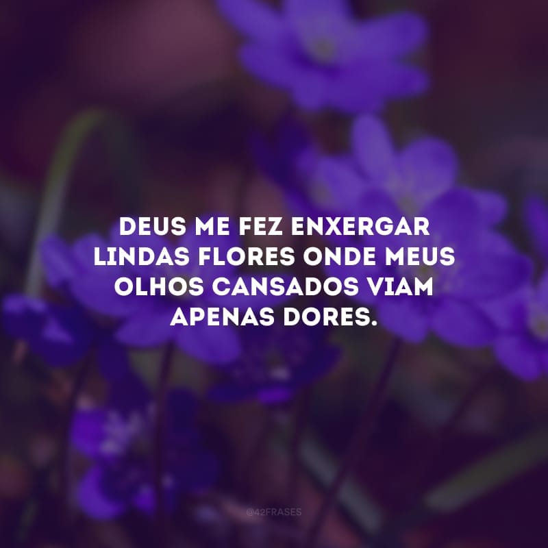 Deus me fez enxergar lindas flores onde meus olhos cansados viam apenas dores.