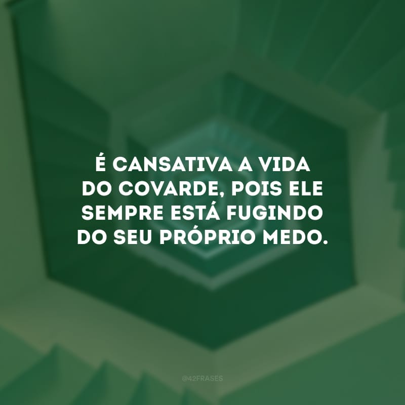 É cansativa a vida do covarde, pois ele sempre está fugindo do seu próprio medo.