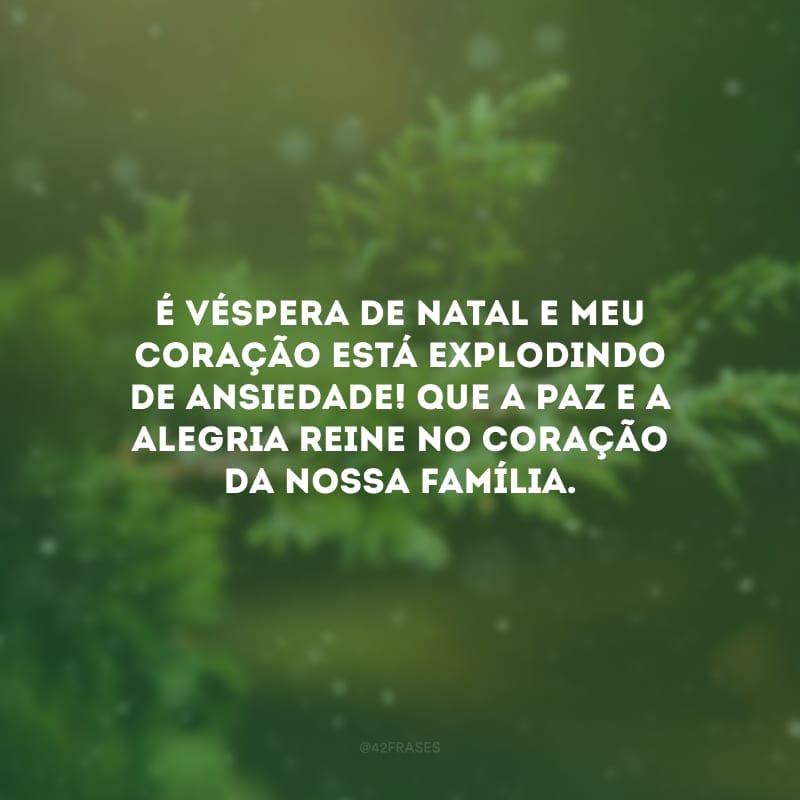 É véspera de Natal e meu coração está explodindo de ansiedade! Que a paz e a alegria reine no coração da nossa família.