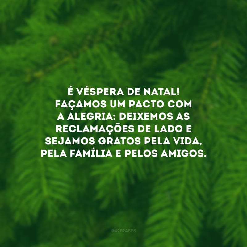 É véspera de Natal! Façamos um pacto com a alegria: deixemos as reclamações de lado e sejamos gratos pela vida, pela família e pelos amigos.