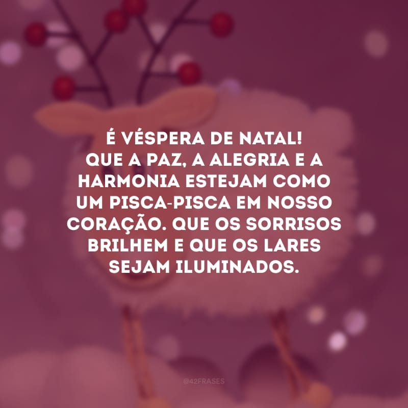 É véspera de Natal! Que a paz, a alegria e a harmonia estejam como um pisca-pisca em nosso coração. Que os sorrisos brilhem e que os lares sejam iluminados.