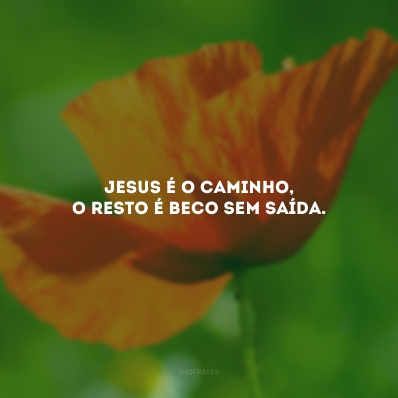 Jesus é o caminho, o resto é beco sem saída.