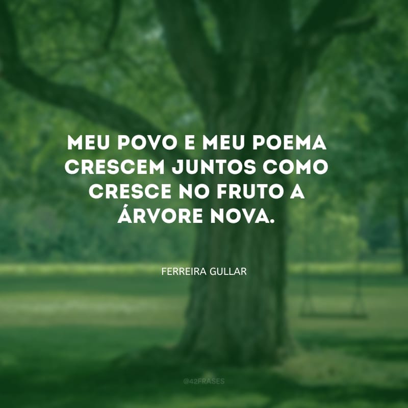 Meu povo e meu poema crescem juntos como cresce no fruto a árvore nova.