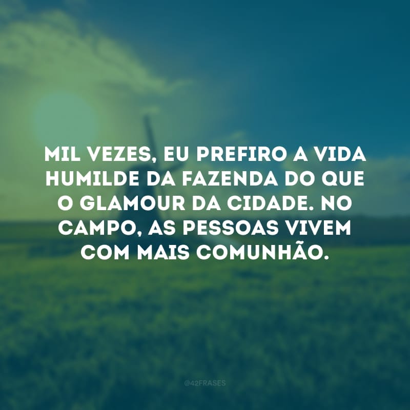 Mil vezes, eu prefiro a vida humilde da fazenda do que o glamour da cidade. No campo, as pessoas vivem com mais comunhão.