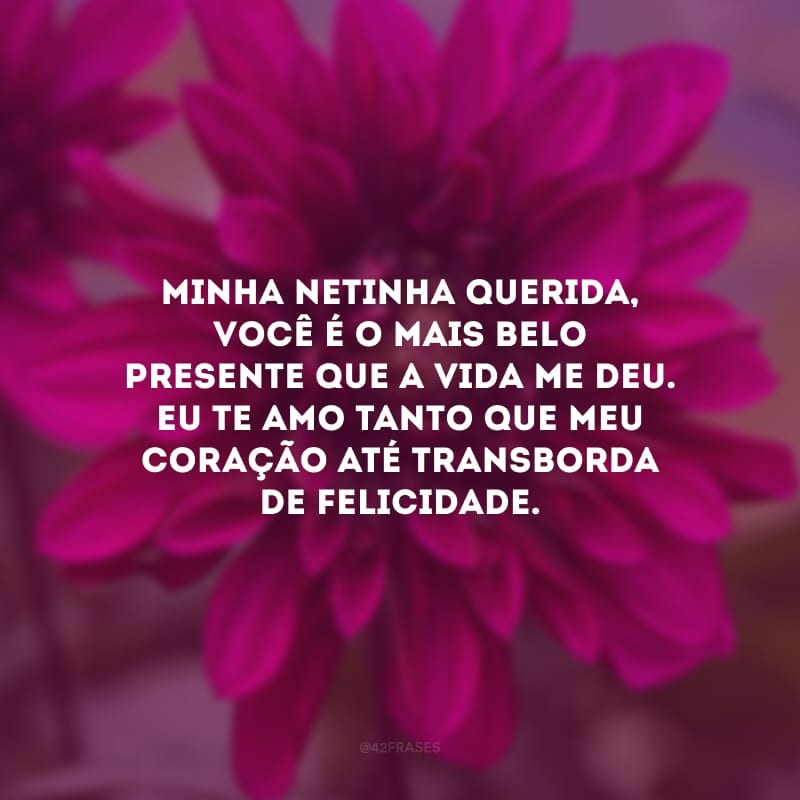 Minha netinha querida, você é o mais belo presente que a vida me deu. Eu te amo tanto que meu coração até transborda de felicidade.