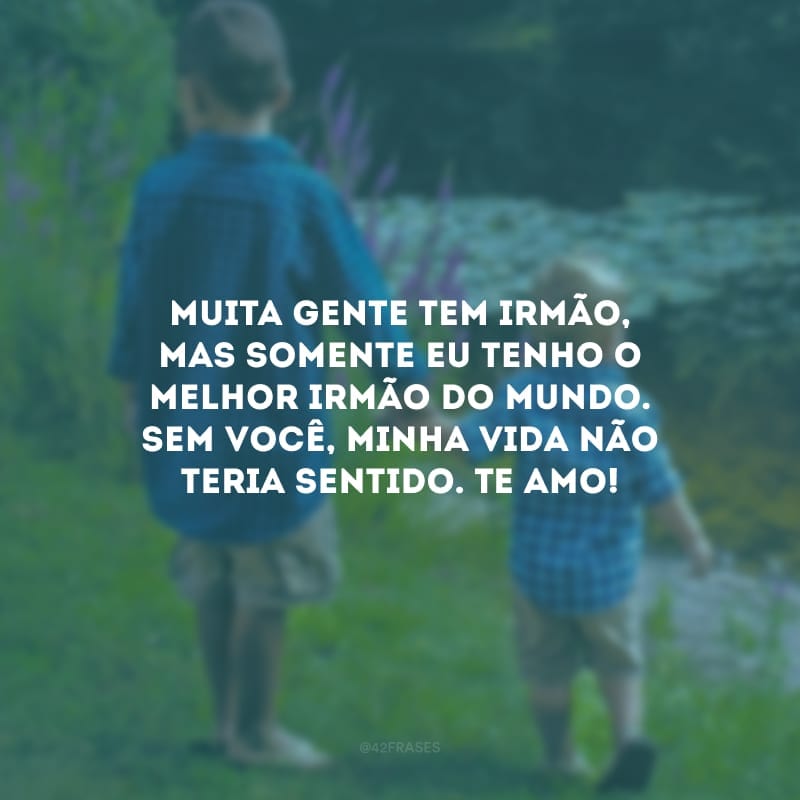 Muita gente tem irmão, mas somente eu tenho o melhor irmão do mundo. Sem você, minha vida não teria sentido. Te amo!