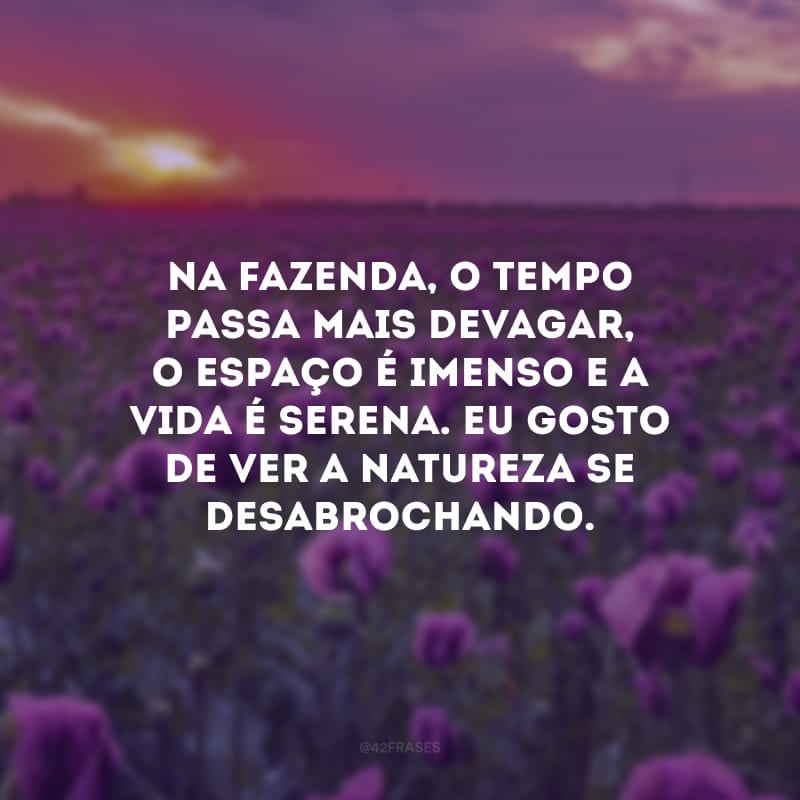 Na fazenda, o tempo passa mais devagar, o espaço é imenso e a vida é serena. Eu gosto de ver a natureza se desabrochando.