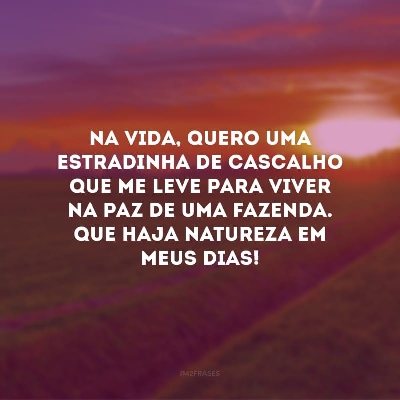 Na vida, quero uma estradinha de cascalho que me leve para viver na paz de uma fazenda. Que haja natureza em meus dias!