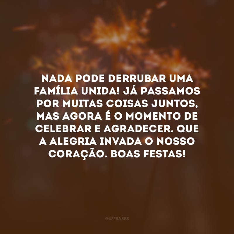 Nada pode derrubar uma família unida! Já passamos por muitas coisas juntos, mas agora é o momento de celebrar e agradecer. Que a alegria invada o novo coração. Boas Festas!