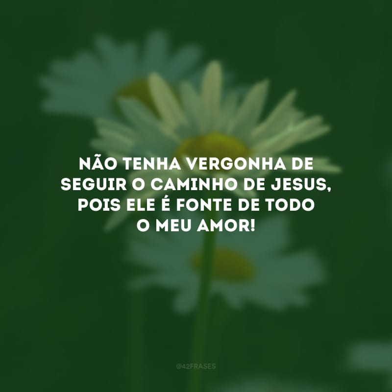 Não tenha vergonha de seguir o caminho de Jesus, pois Ele é fonte de todo o meu amor! 