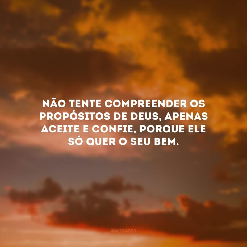 Não tente compreender os propósitos de Deus, apenas aceite e confie, porque Ele só quer o seu bem. 