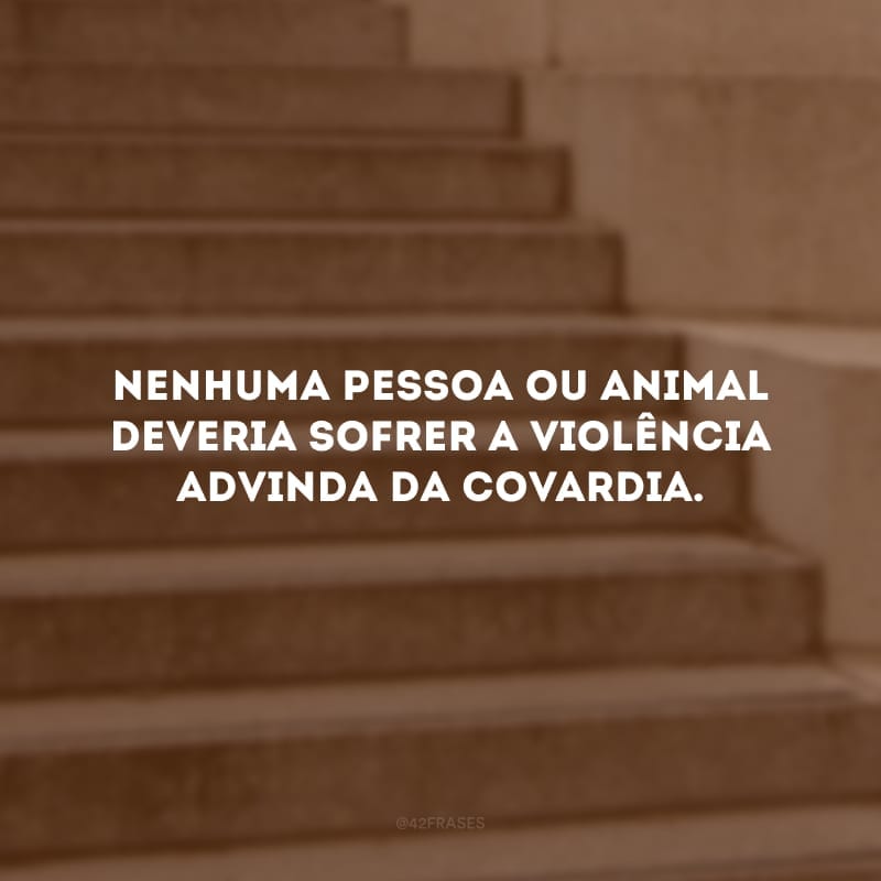 Nenhuma pessoa ou animal deveria sofrer a violência advinda da covardia.