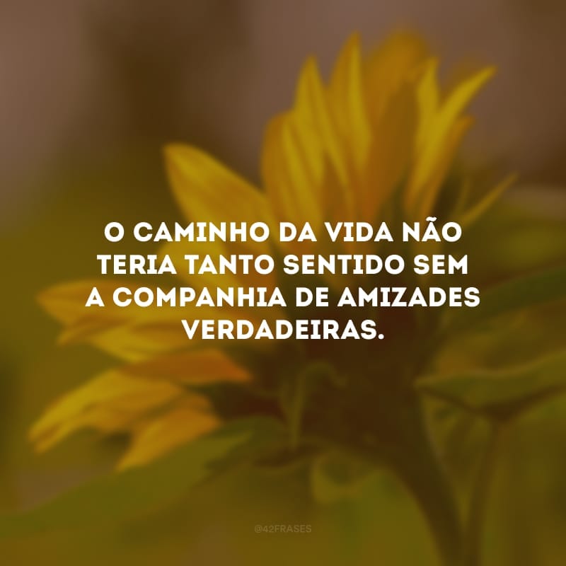 O caminho da vida não teria tanto sentido sem a companhia de amizades verdadeiras. 