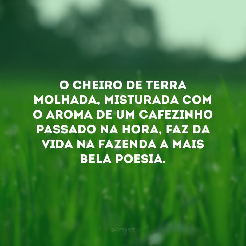 O cheiro de terra molhada, misturada com o aroma de um cafezinho passado na hora, faz da vida na fazenda a mais bela poesia.