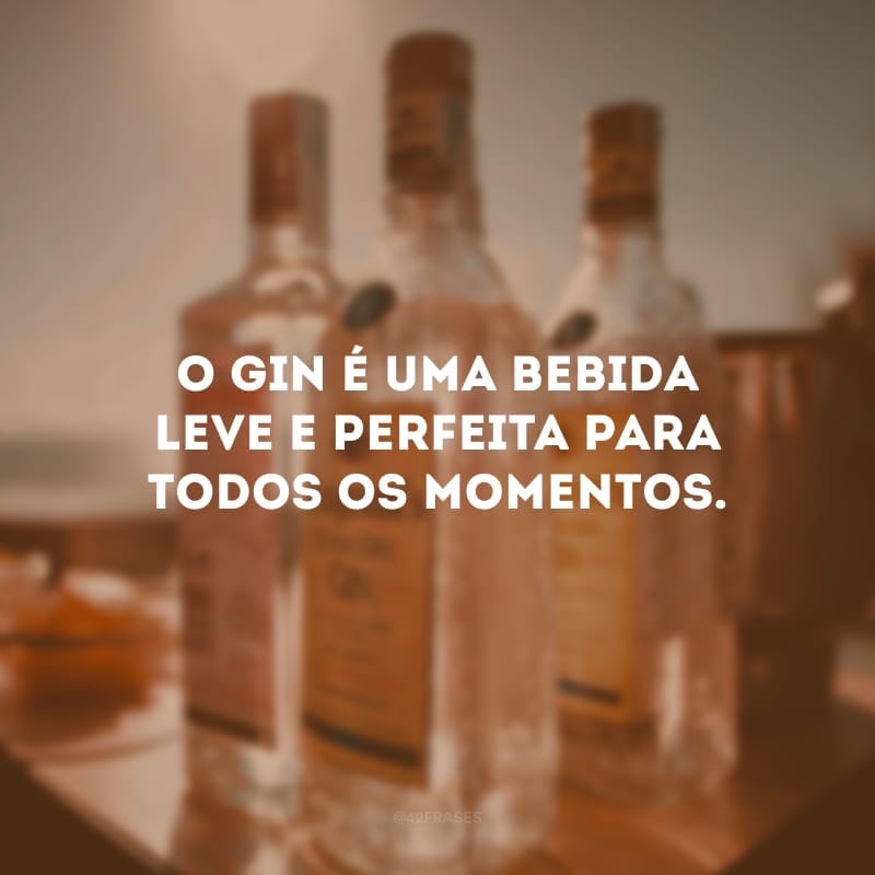 O gin é uma bebida leve e perfeita para todos os momentos.