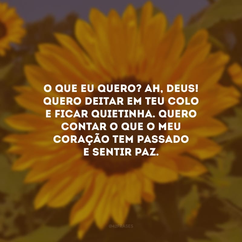 O que eu quero? Ah, Deus! Quero deitar em Teu colo e ficar quietinha. Quero contar o que o meu coração tem passado e sentir paz.