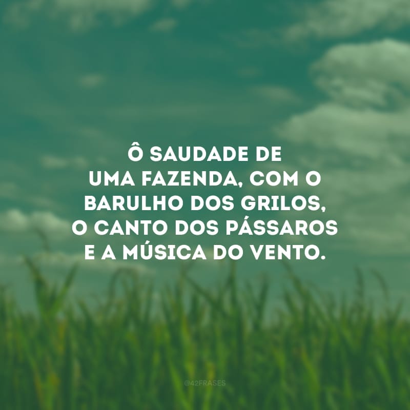 Ô saudade de uma fazenda, com o barulho dos grilos, o canto dos pássaros e a música do vento.