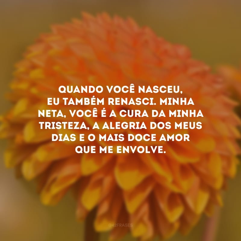 Quando você nasceu, eu também renasci. Minha neta, você é a cura da minha tristeza, a alegria dos meus dias e o mais doce amor que me envolve.