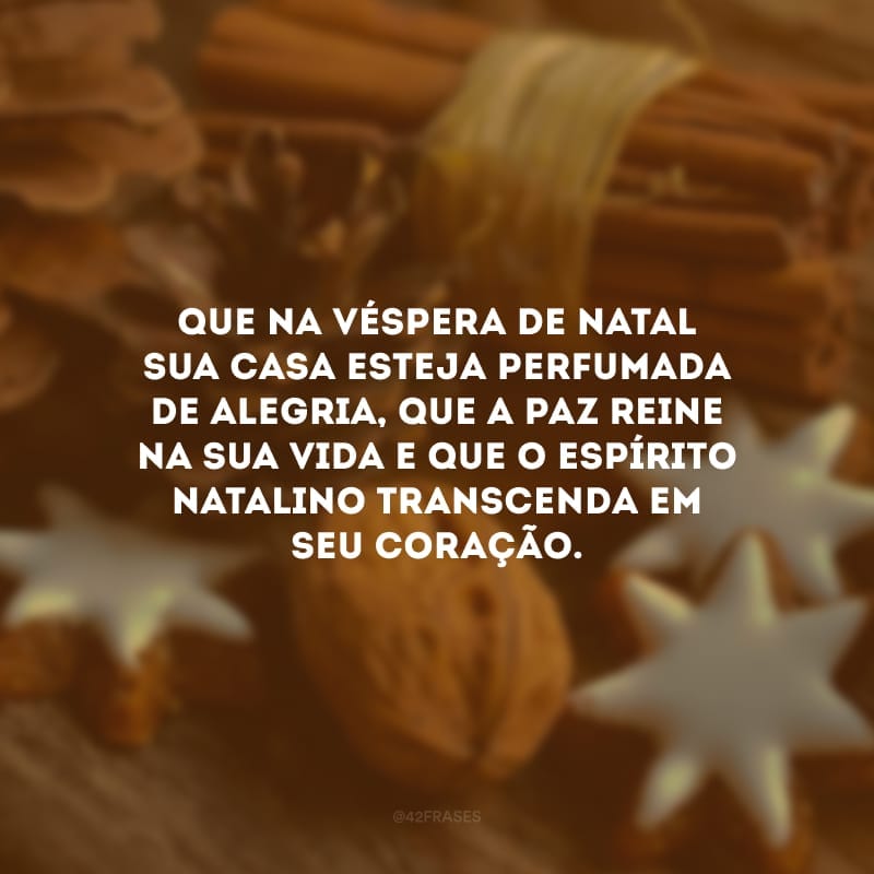 Que na véspera de Natal sua casa esteja perfumada de alegria, que a paz reine na sua vida e que o espírito natalino transcenda em seu coração.