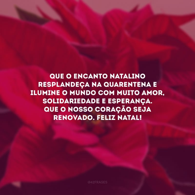 Que o encanto natalino resplandeça na quarentena e ilumine o mundo com muito amor, solidariedade e esperança. Que o nosso coração seja renovado. Feliz Natal!