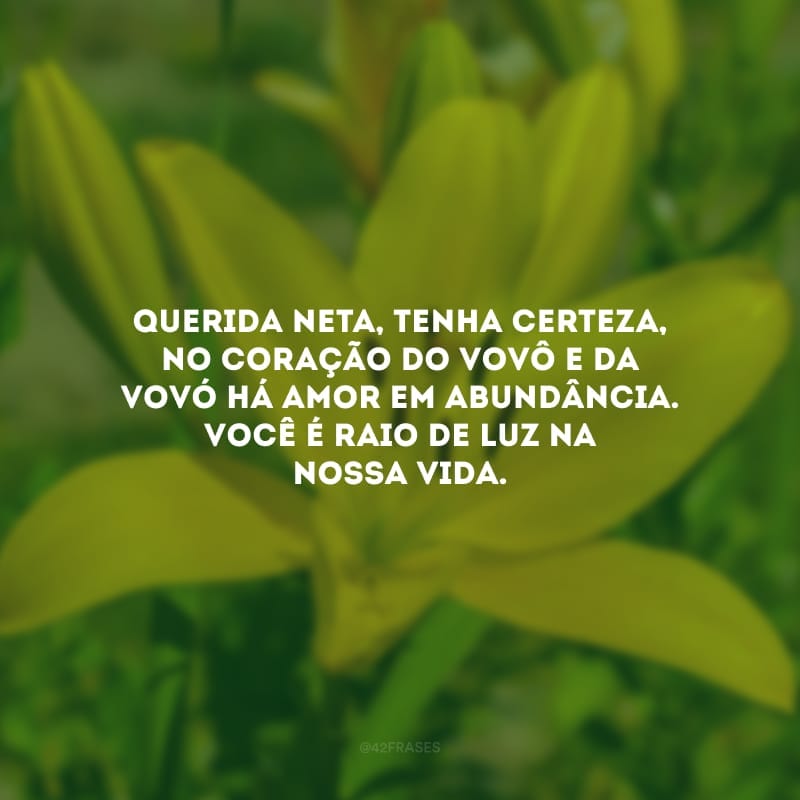 Querida neta, tenha certeza, no coração do vovô e da vovó há amor em abundância. Você é raio de luz na nossa vida.