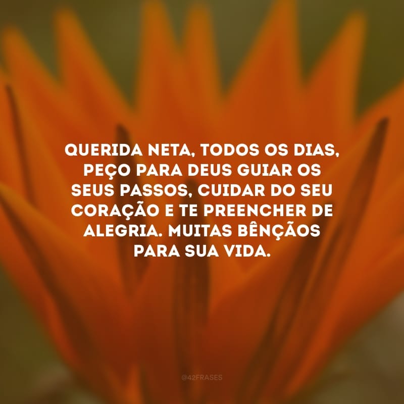 Querida neta, todos os dias, peço para Deus guiar os seus passos, cuidar do seu coração e te preencher de alegria. Muitas bênçãos para sua vida.