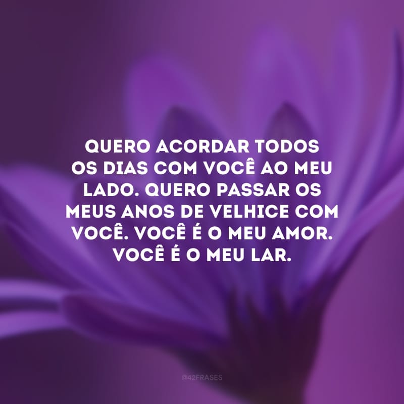 Quero acordar todos os dias com você ao meu lado. Quero passar os meus anos de velhice com você. Você é o meu amor. Você é o meu lar. 