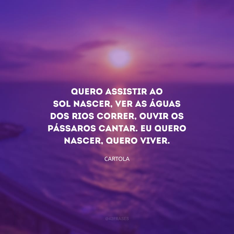 Quero assistir ao Sol nascer, ver as águas dos rios correr, ouvir os pássaros cantar. Eu quero nascer, quero viver.