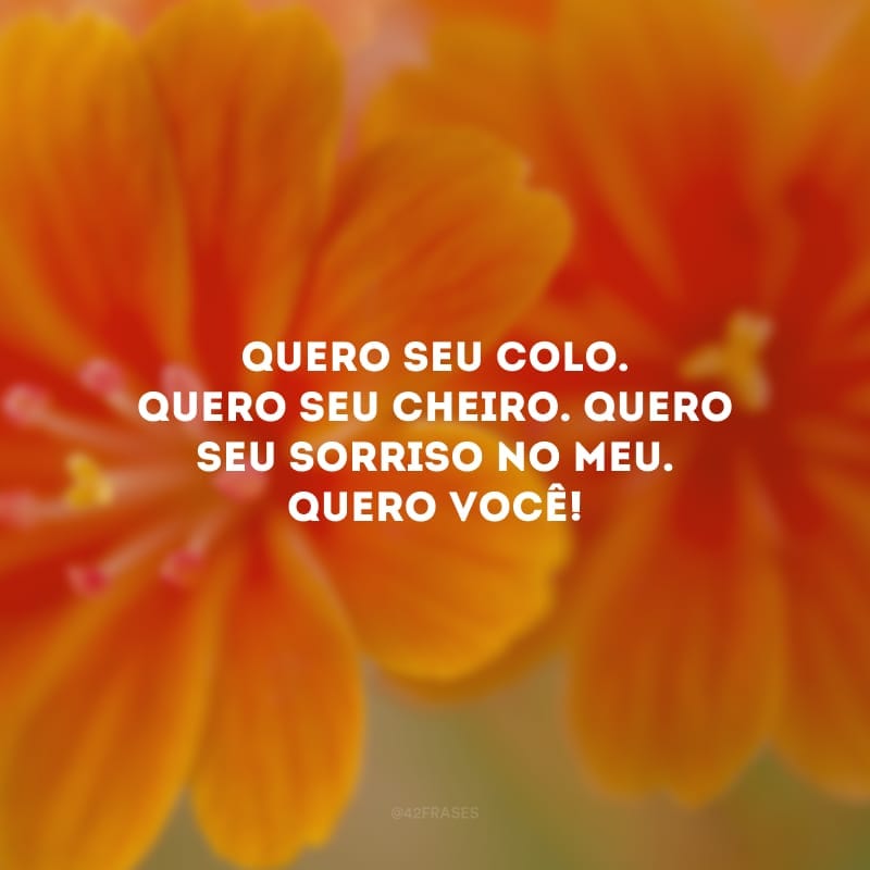 Quero seu colo. Quero seu cheiro. Quero seu sorriso no meu. Quero você! 