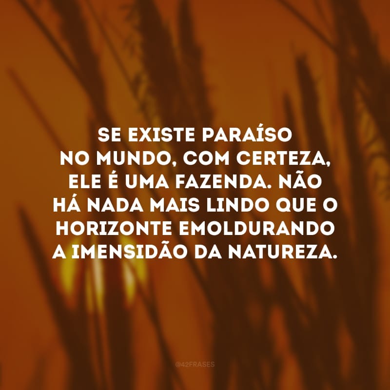 Se existe paraíso no mundo, com certeza, ele é uma fazenda. Não há nada mais lindo que o horizonte emoldurando a imensidão da natureza.