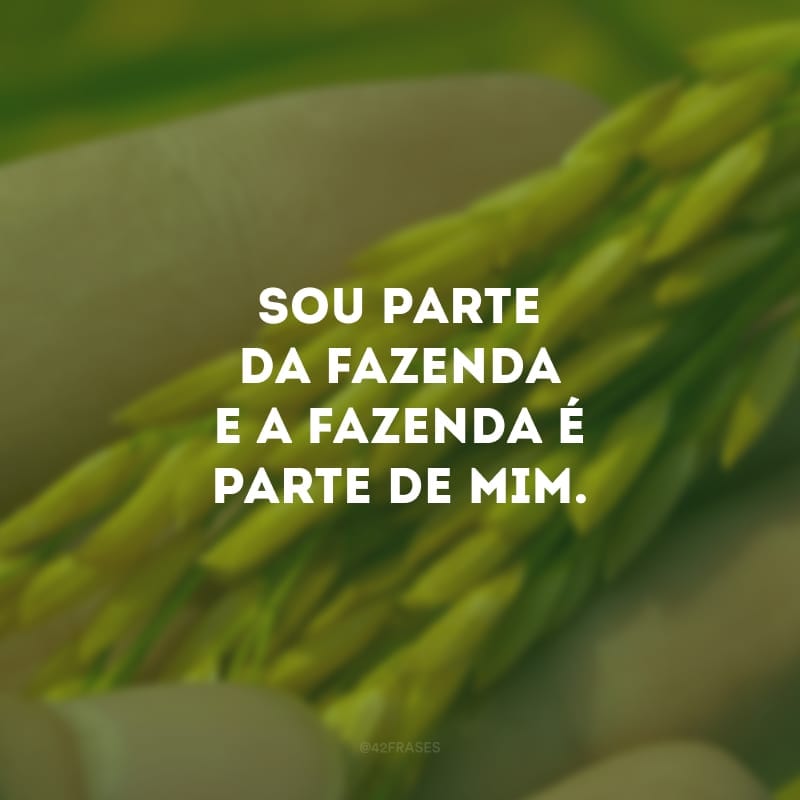 Sou parte da fazenda e a fazenda é parte de mim. Quando estou em contato com a natureza, estou em casa.