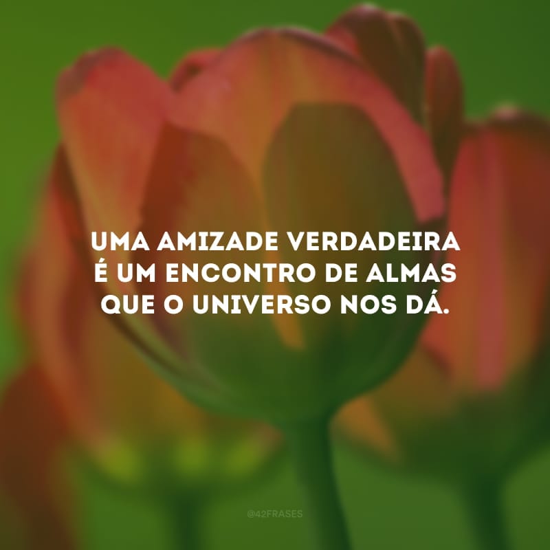 Uma amizade verdadeira é um encontro de almas que o universo nos dá. 