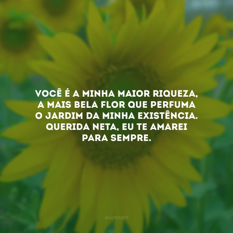 Você é a minha maior riqueza, a mais bela flor que perfuma o jardim da minha existência. Querida neta, eu te amarei para sempre.