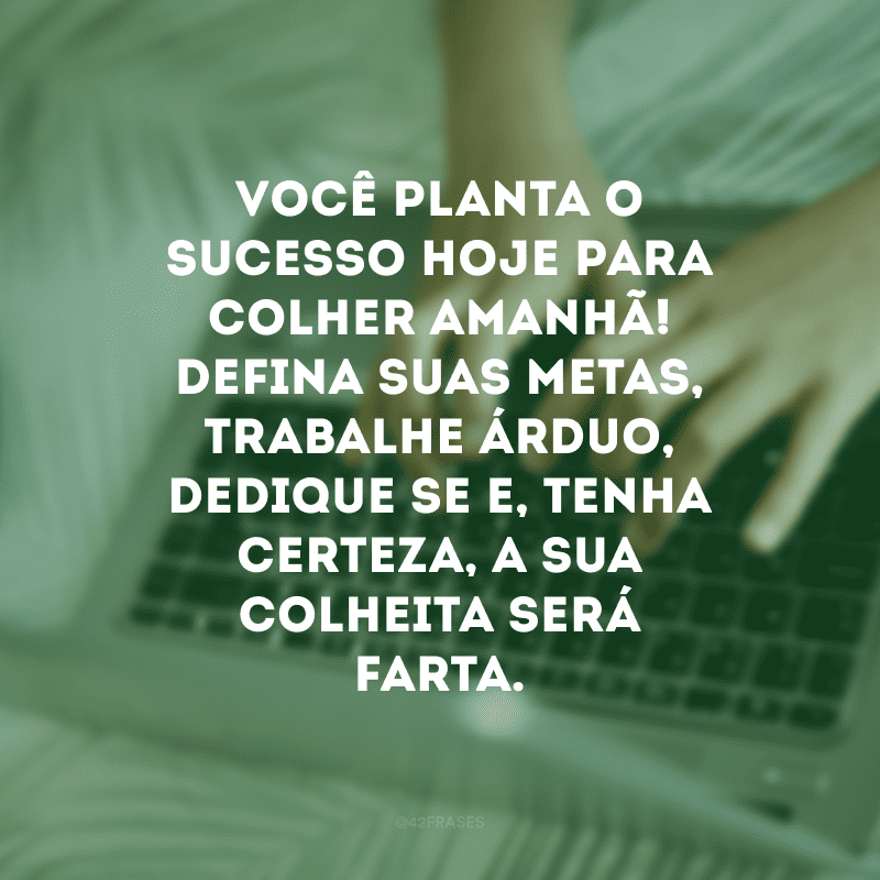 Você planta o sucesso hoje para colher amanhã! Defina suas metas, trabalhe árduo, dedique-se e, tenha certeza, a sua colheita será farta.