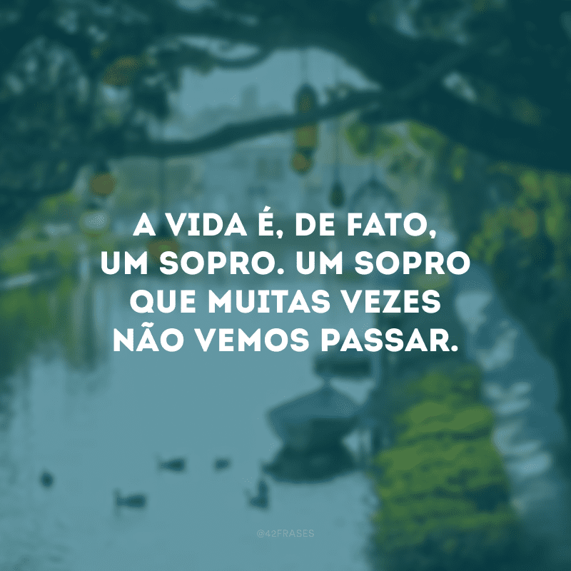 A vida é, de fato, um sopro. Um sopro que muitas vezes não vemos passar. 