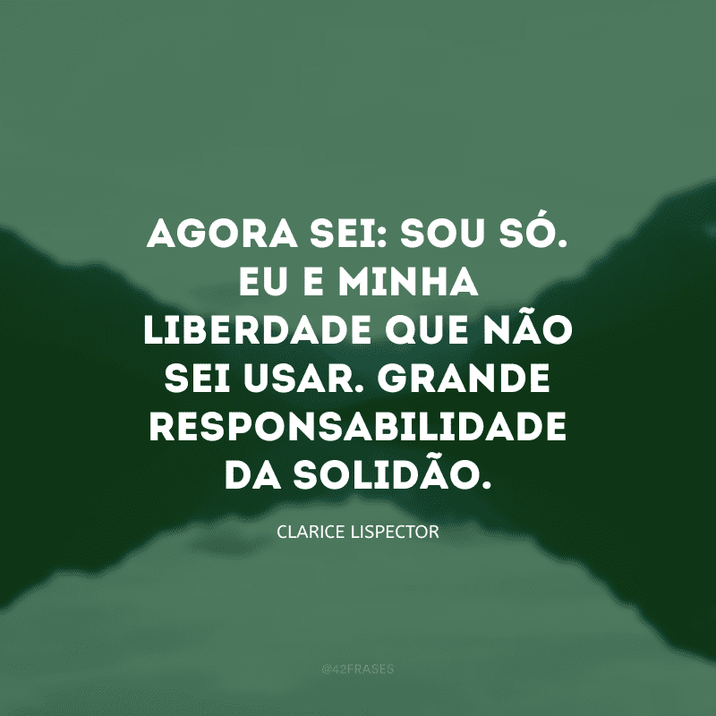 Agora sei: sou só. Eu e minha liberdade que não sei usar. Grande responsabilidade da solidão.

