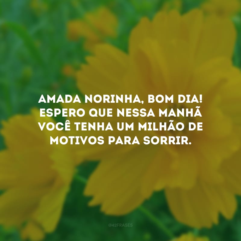 Amada norinha, bom dia! Espero que nessa manhã você tenha um milhão de motivos para sorrir. 