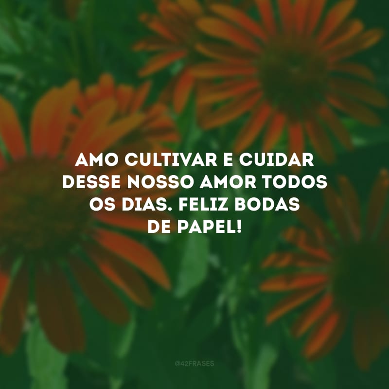 Amo cultivar e cuidar desse nosso amor todos os dias. Feliz bodas de papel!