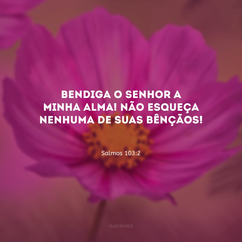 Bendiga o Senhor a minha alma! Não esqueça nenhuma de suas bênçãos!