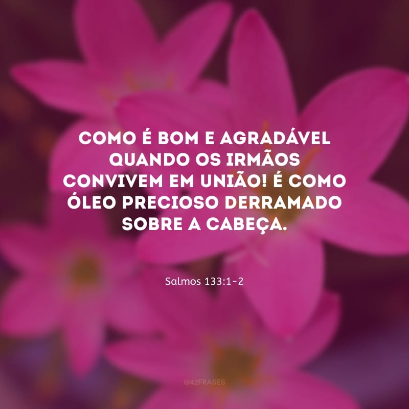 Como é bom e agradável quando os irmãos convivem em união! É como óleo precioso derramado sobre a cabeça.